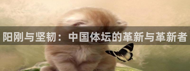  vsport体育：阳刚与坚韧：中国体坛的革新与革新者