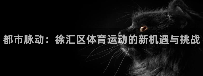  vSport体育app最新版本更新内容：都市脉动：徐汇区体育