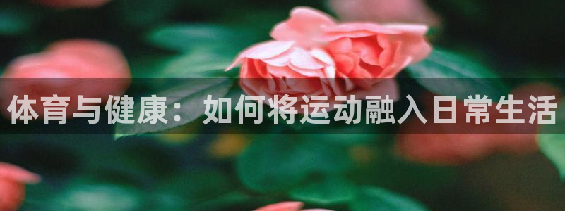 Vsport体育官方网站入口：体育与