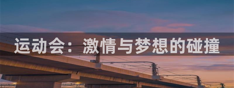 vSport体育app最新版本更新内容：运动会：激情与梦想的
