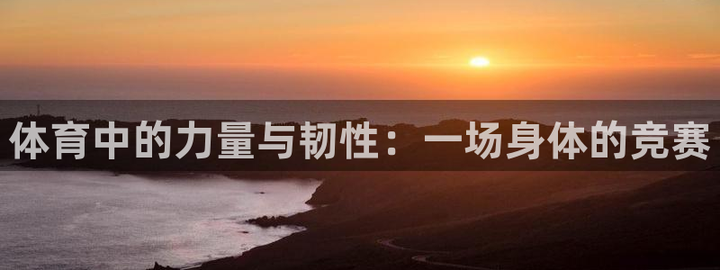 vsport体育在线官网阿根廷：体育