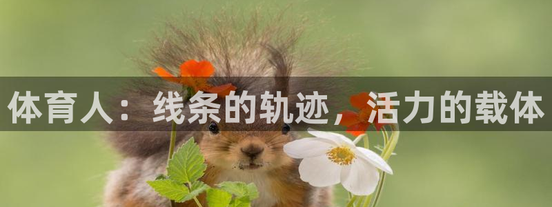vsport体育官网：体育人：线条的