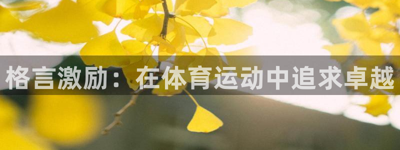 Vsport体育官方网站入口：格言激