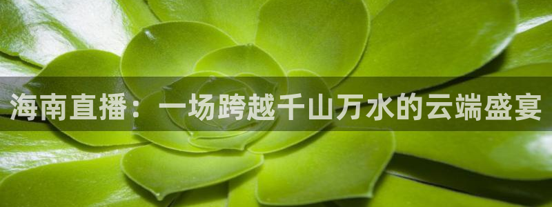 玩球直播免费高清在线：海南直播：一场跨越千山万水的云端盛宴