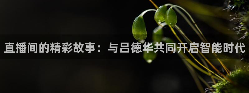 玩球直播网站：直播间的精彩故事：与吕德华共同开启智能时代