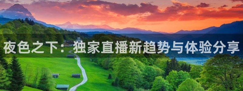 玩球直播wqzb：夜色之下：独家直播新趋势与体验分享